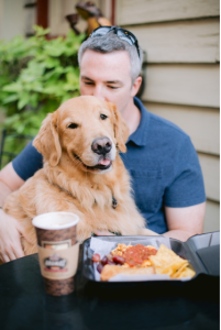 Dog ready for lunch