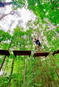 Go Ape