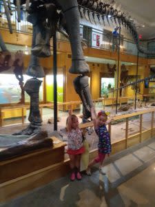 Apatosaurus at the UW Geological Museum