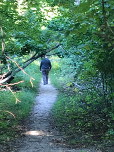 Old Man at Sleeping Bear Point