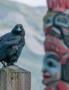 Tligit Culture, Raven, Haines Alaska.