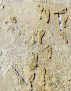 NPS-Photo-Fossilized-Human-Footprints