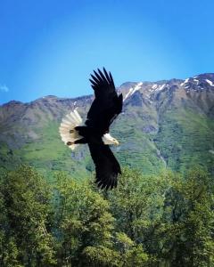 Valley of the Eagles