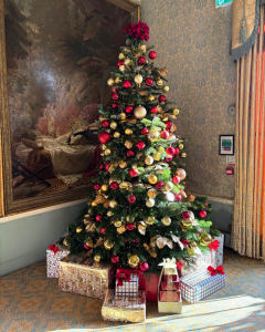 Ettington Park Christmas Tree 2024