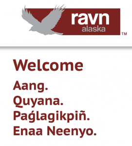 Ravn-Air-box-271x300