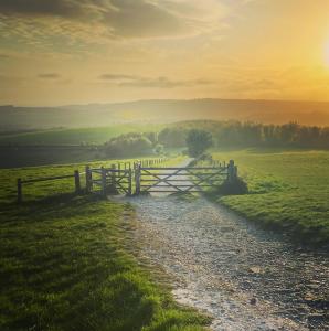 Sunset in South Downs