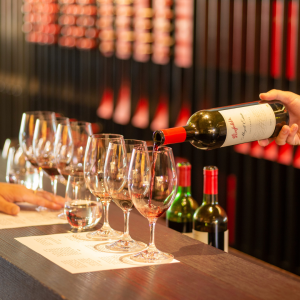 Penfolds Wine Tasting