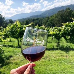 Glass of red wine at Addison Vineyards near Asheville, NC