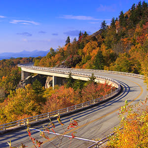 Fall Color Report