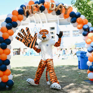 A tiger mascot wearing a white T-shirt stands under a navy, orange, and white balloon arch with gold "HEY DAY" letter balloons, waving and holding a large tiger-striped hand sign that says "HEY!" at an outdoor campus event. A stadium is visible in the background, with people walking around on the lawn.