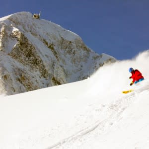 Skiing & Snowboarding