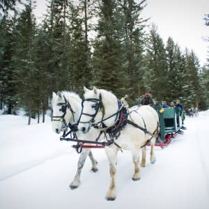 Sleigh Ride Dinners