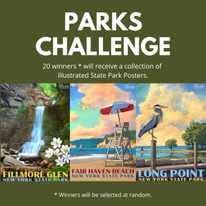 Parks Challenge 2022
