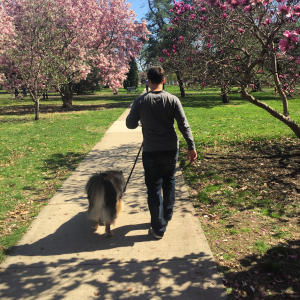 Bring Your Dog Experience Columbus Launches Pet Friendly