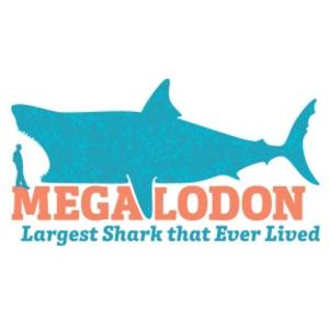 Megalodon at Museum of Arts & Sciences