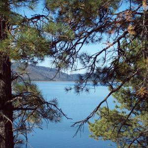 Vallecito Lake