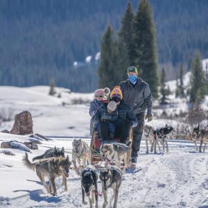 Dog Sledding with Durango Dog Ranch During Winter | John Fitzpatrick