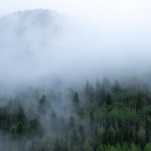 La Plata Canyon, Durango, CO