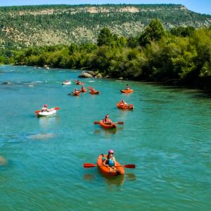 Animas River in Summer, Durango, CO