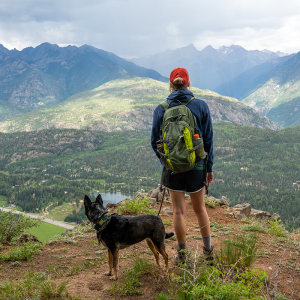 Dog at Castle Rock Peak, Durango, Colorado