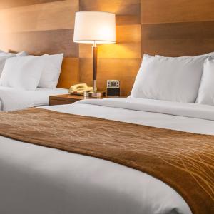 DTN - PPS - Comfort Inn & Suites
