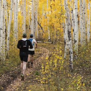 Trail Running at Mancos State Park During Fall
