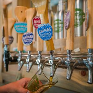 draft beer