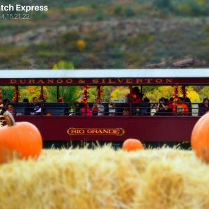 pumpkin-patch-express-2