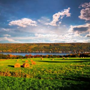 wine tours in seneca lake ny