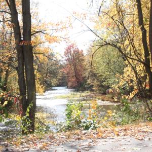 Manchester Gateway Trail in the Fall