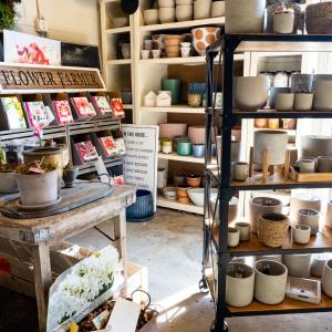 Courtney Farms Christmas Plant Pots