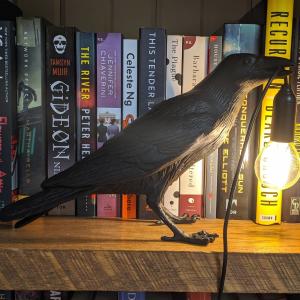 A crow light on a shelf of books at the Crow & Co. Bookstore in Hutchinson