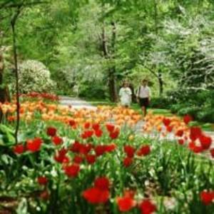 wjbealbotanicalgarden