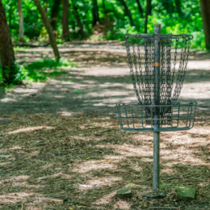 disc golf basket