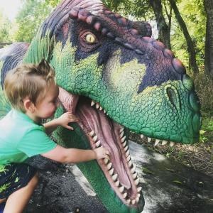 Boy examining dinosaur head's teeth