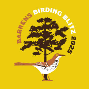 Annual Birding Blitz
