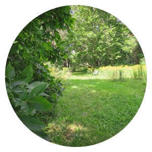W.L. Dickson Arboretum circle