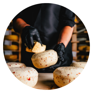Circular image of cheese from New Galma Dairy