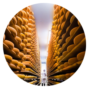 Circular image of cheese room at Mountainoak Cheese Ltd.