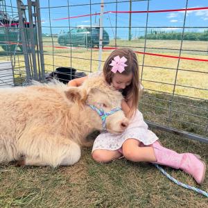 Girl wearing pink cowgirl boots and a pink bow in her hair snuggles up to a tan highland cow at Swartz Farm.