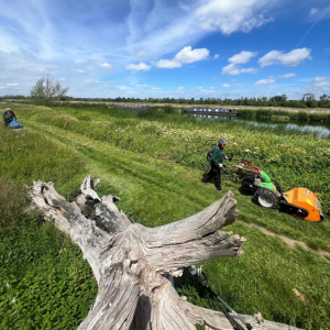 Volunteers mowing