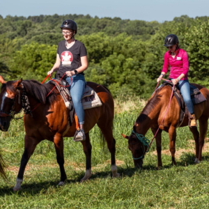 Red Fern guided tour