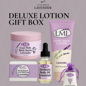 little mount lavender gift box