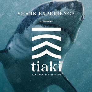 Shark Experience - Tiaki