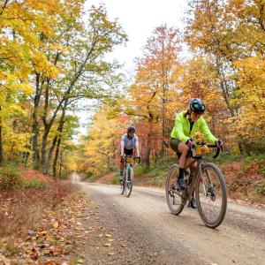 unPAved bike racers riding through forest.
