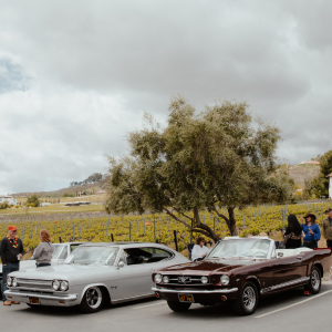 Mr.Mahalo Classic Car Show at Somerset Winery