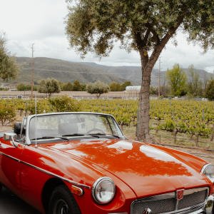 Classic Car show at Somerset Winery