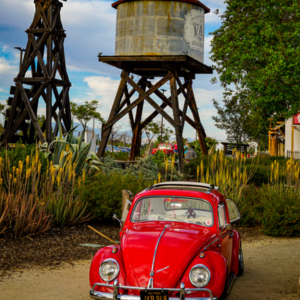 Monthly VW Meet up at Vail Headquarters