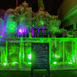 Ice bar at Forest Ice Bar