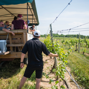 fenn valley summer eblast